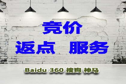 百度推广代理：从零到一的营销增长之路
